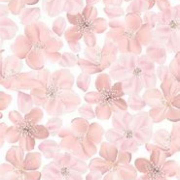 Meet your Posher, Gloria - Picture 1 of 1